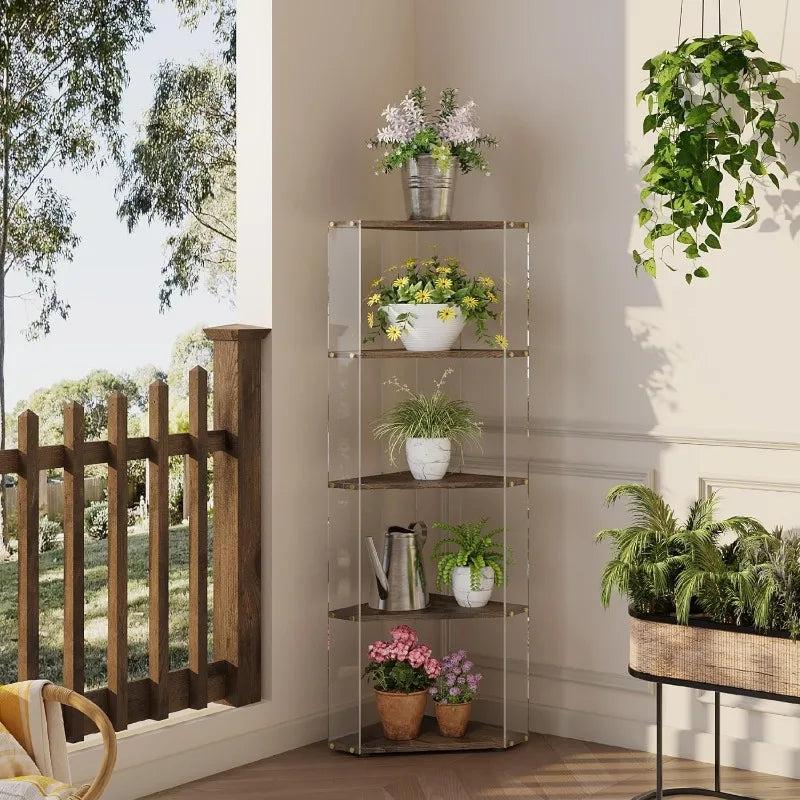 5 Tier Corner Shelf, Open Corner Display Shelf, Corner Bookcase, Freestanding Bookshelf